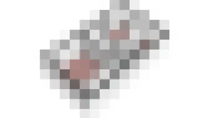 Akkerstraat 4 Dieren thumbnail 32