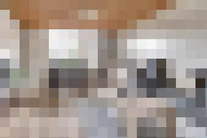 Akkerstraat 4 Dieren thumbnail 4