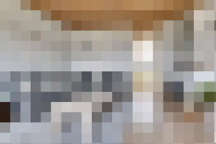 Akkerstraat 4 Dieren thumbnail 5