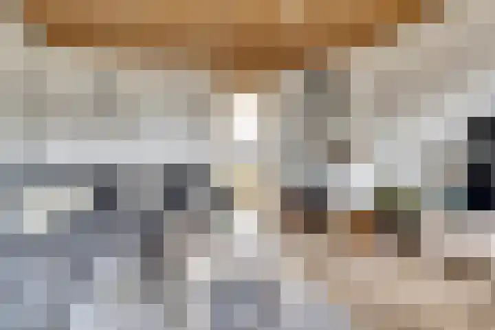 Akkerstraat 4 Dieren thumbnail 6
