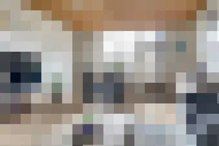 Akkerstraat 4 Dieren thumbnail 7