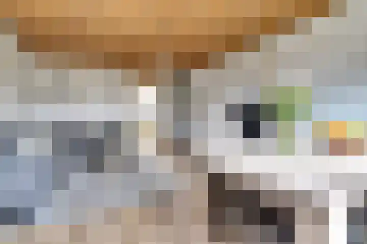 Akkerstraat 4 Dieren thumbnail 8