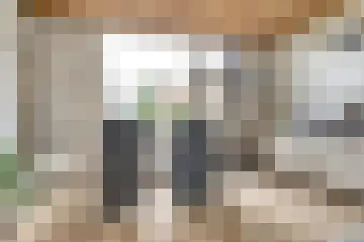 Akkerstraat 4 Dieren thumbnail 9