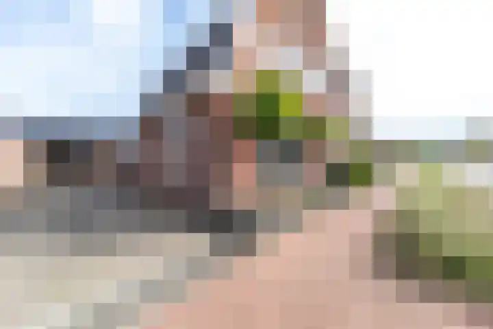 Akkerstraat 44 Ulft thumbnail 4