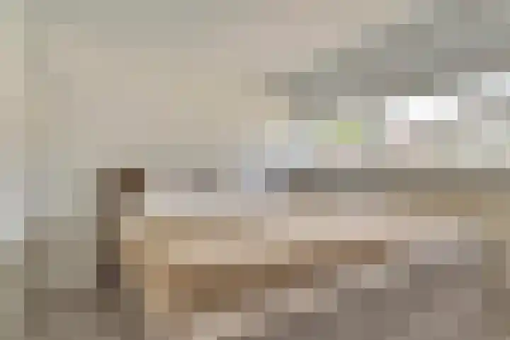 Akkerstraat 6 Dieren thumbnail 16