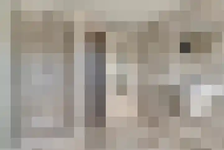 Akkerstraat 6 Dieren thumbnail 22
