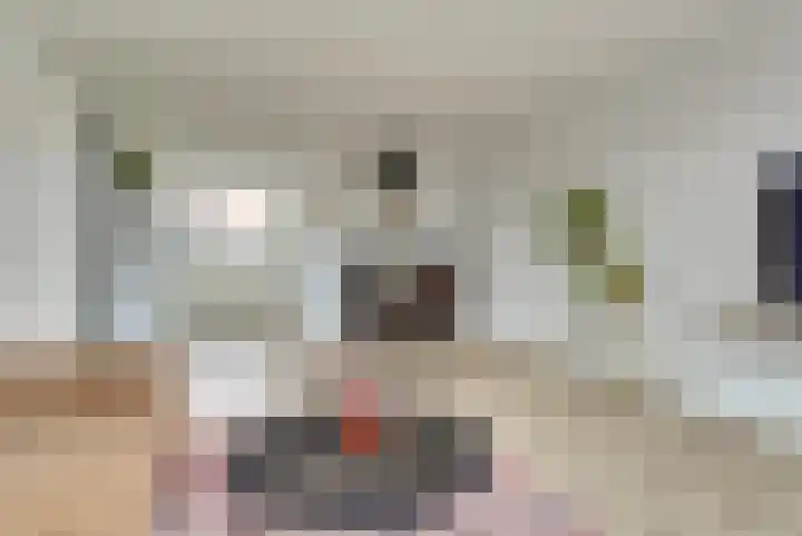 Akkerstraat 6 Dieren thumbnail 6
