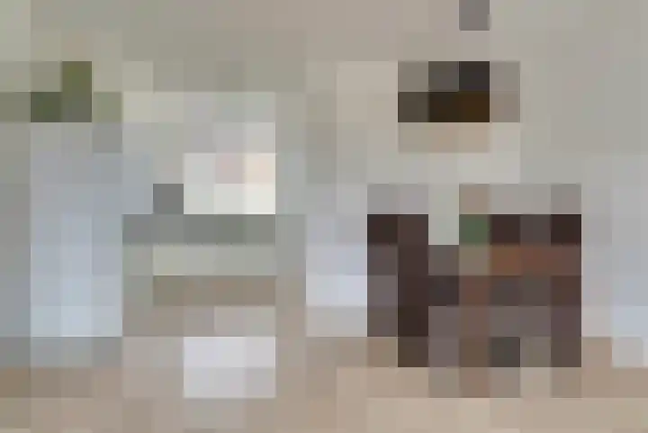 Akkerstraat 6 Dieren thumbnail 7
