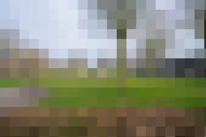 Akkerweg 19 Milheeze thumbnail 46