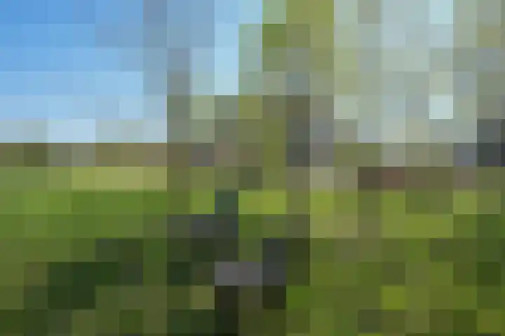 Akkerweg 19 Wijchen thumbnail 30