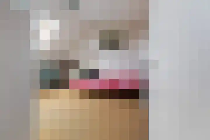 Akkerweg 34 Hulshorst thumbnail 22