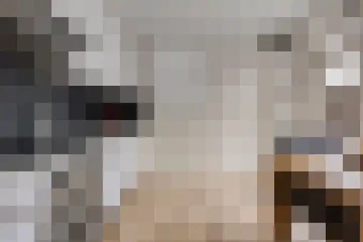 Akkerweg 4 Milheeze thumbnail 19