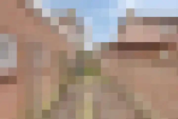 Akkerweg 4 Milheeze thumbnail 41