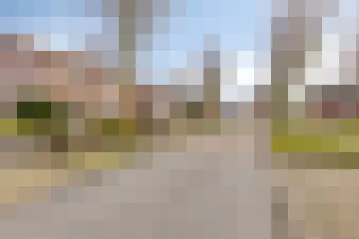 Akkerweg 4 Milheeze thumbnail 8