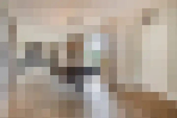 Akkerweg 8 Angerlo thumbnail 15