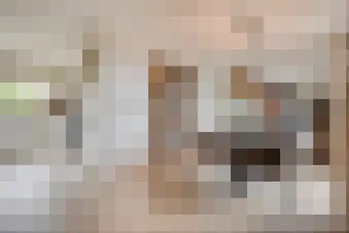 Akkerweg 8 Angerlo thumbnail 16