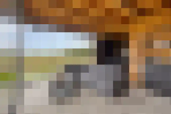 Akkerweg 8 Angerlo thumbnail 38