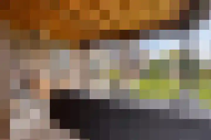 Akkerweg 8 Angerlo thumbnail 39