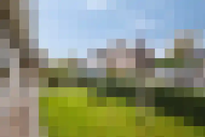 Akkerweg 8 Angerlo thumbnail 43