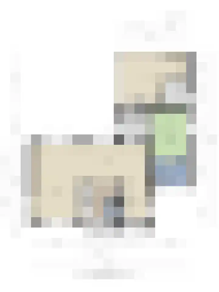 Akkerweg 8 Angerlo thumbnail 47