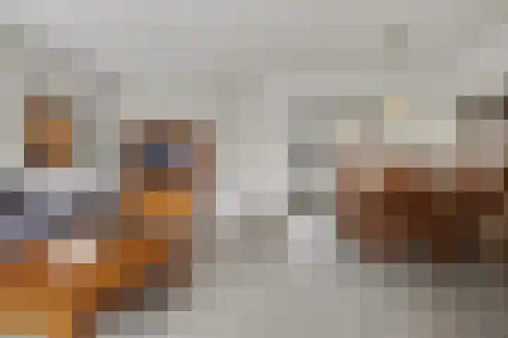 Akkerwinde 12 Hapert thumbnail 10