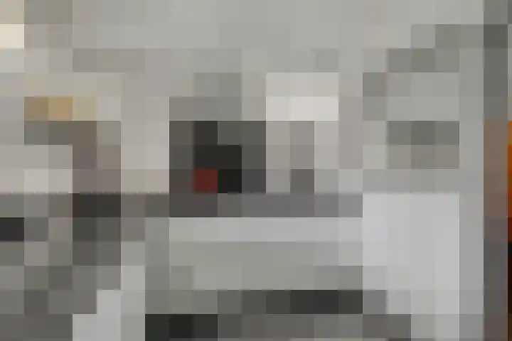 Akkerwinde 12 Hapert thumbnail 13