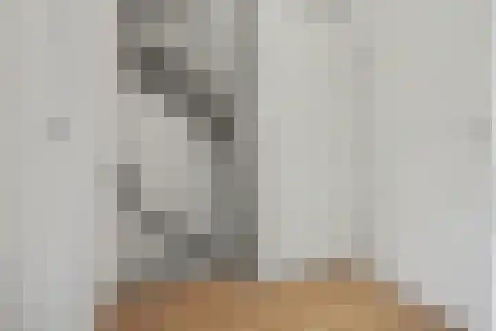 Akkerwinde 12 Hapert thumbnail 16