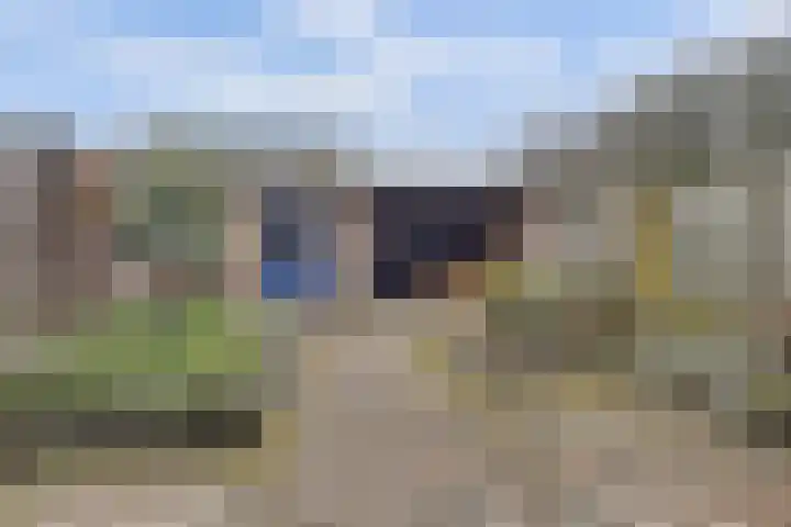 Akkerwinde 12 Hapert thumbnail 27