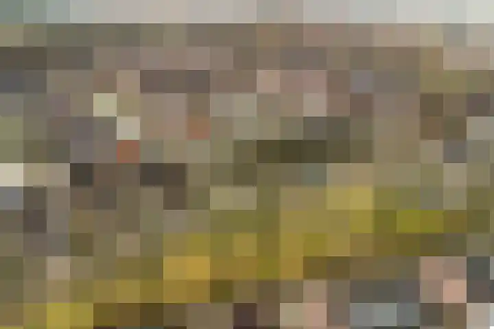 Akkerwinde 12 Hapert thumbnail 34