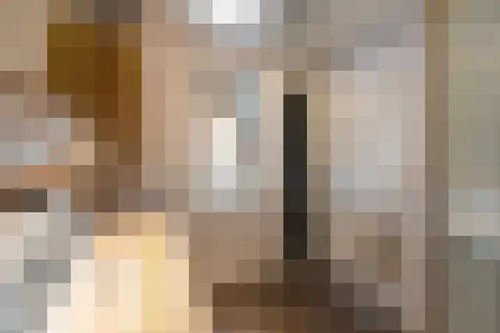 Akkerwinde 14 Wijhe thumbnail 22