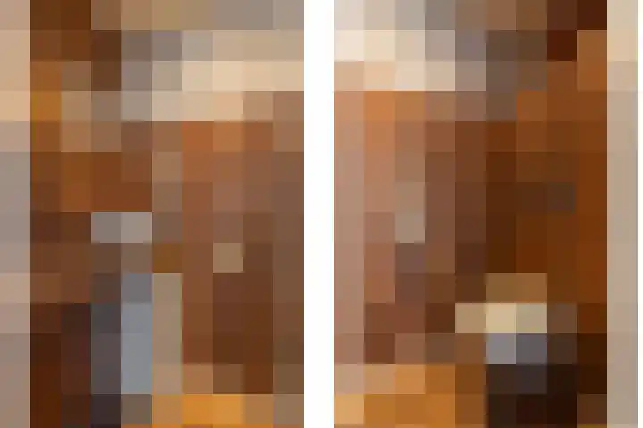 Akkerwinde 14 Wijhe thumbnail 25