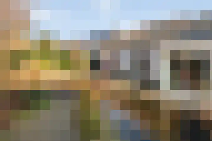 Akkerwinde 14 Wijhe thumbnail 38