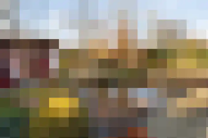 Akkerwinde 14 Wijhe thumbnail 42