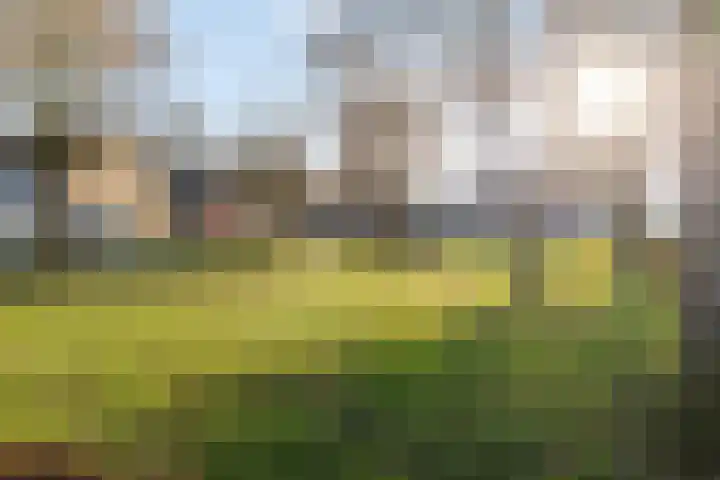 Akkerwinde 14 Wijhe thumbnail 47