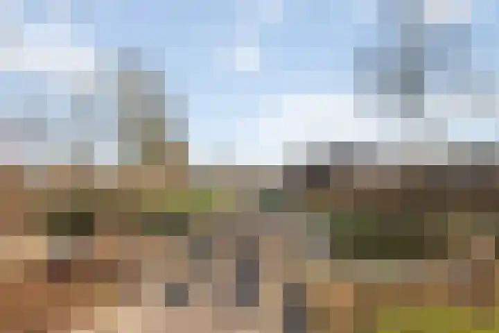 Akkerwinde 14 Wijhe thumbnail 50