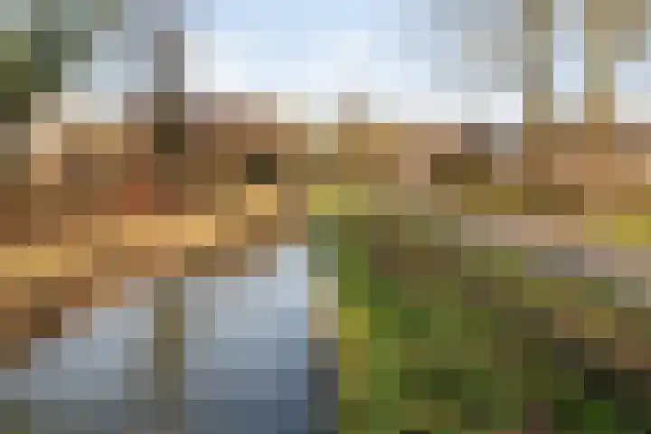 Akkerwinde 14 Wijhe thumbnail 51
