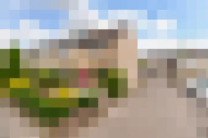 Akkerwinde 2 Barendrecht thumbnail 23