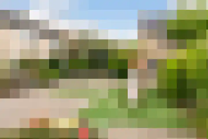 Akkerwinde 2 Barendrecht thumbnail 27