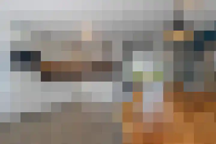 Akkerwinde 21 Ameide thumbnail 10