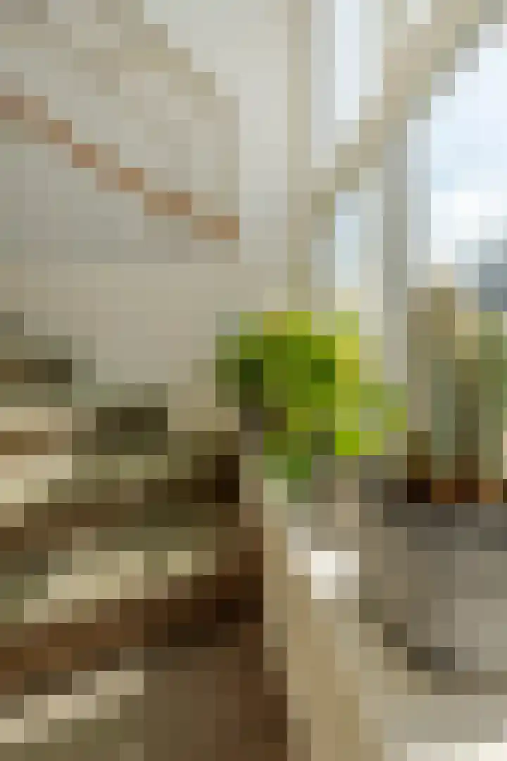 Akkerwinde 21 Ameide thumbnail 24