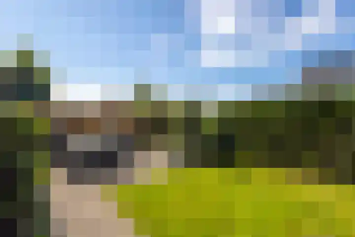 Akkerwinde 21 Ameide thumbnail 29