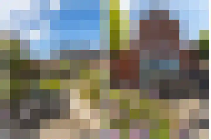 Akkerwinde 21 Ameide thumbnail 32