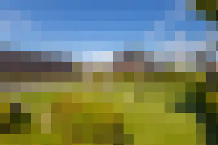 Akkerwinde 21 Ameide thumbnail 35