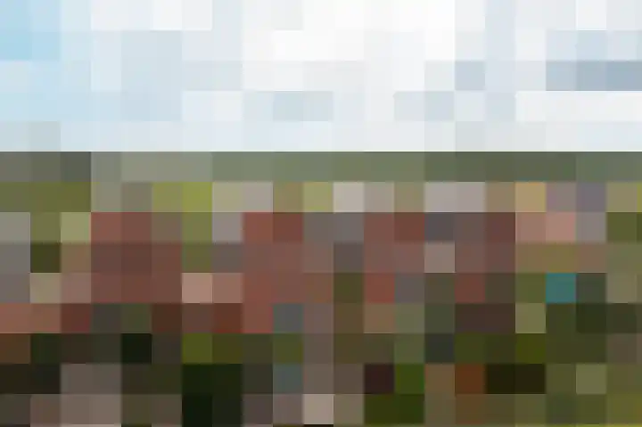 Akkerwinde 21 Ameide thumbnail 37