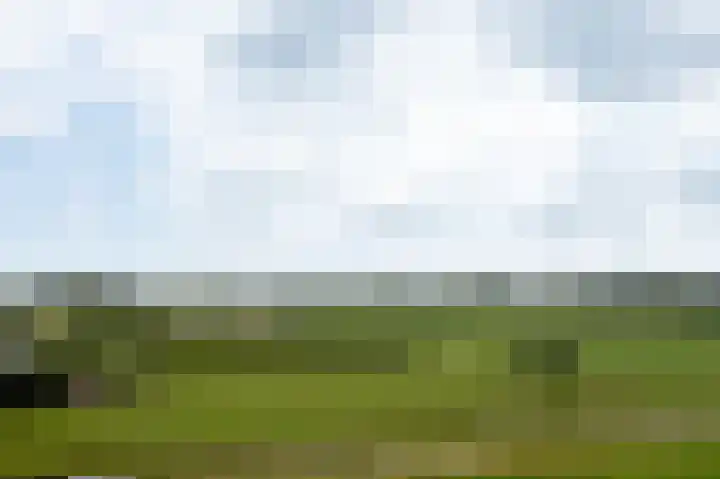 Akkerwinde 21 Ameide thumbnail 38