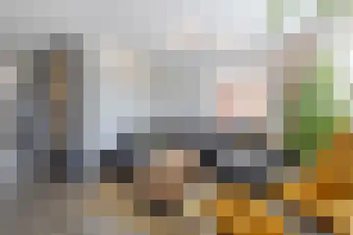 Akkerwinde 21 Ameide thumbnail 9