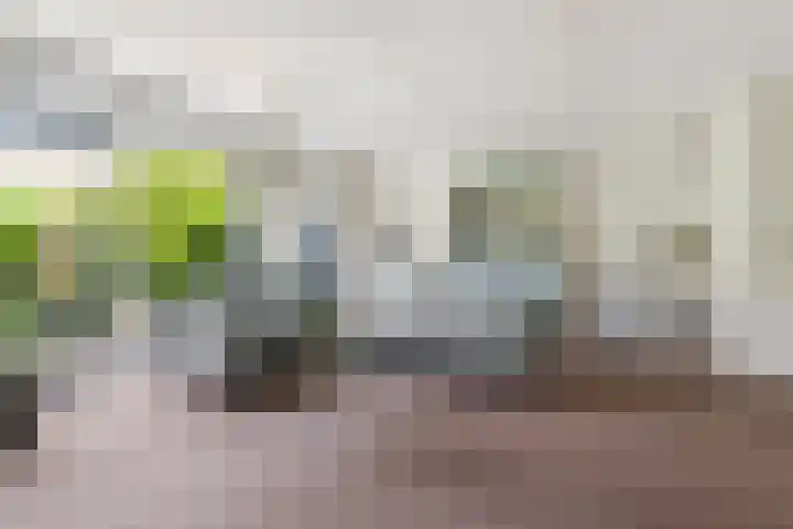 Akkerwinde 31 Lent thumbnail 10