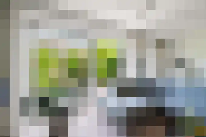 Akkerwinde 31 Lent thumbnail 11