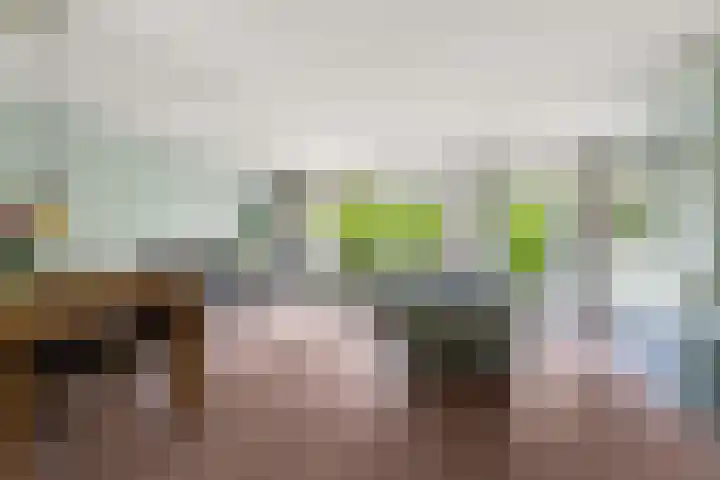 Akkerwinde 31 Lent thumbnail 14