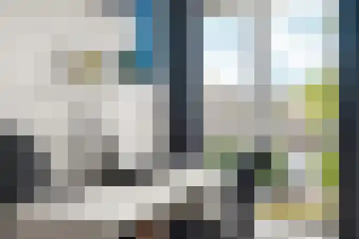 Akkerwinde 31 Lent thumbnail 22